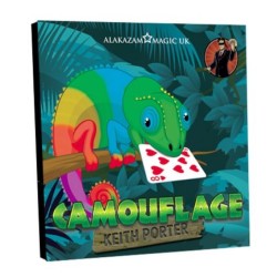 Camouflage By Keith Porter