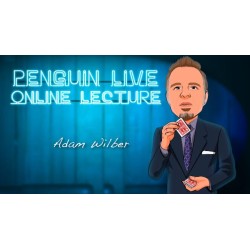 Adam Wilber LIVE