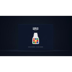 Cube in Bottle Project by Taylor Hughes and David Stryker