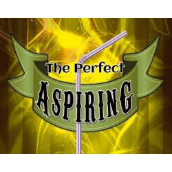 Perfect Aspiring by Daniel Raley