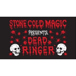 Dead Ringer by Jeff Stone