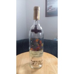 Inverted Corkscrew Inside Bottle (Impossible Bottle) by Mark R. Gladue