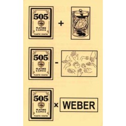 505 Lecture Notes by Michael Weber