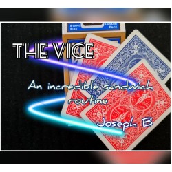 THE VICE By Joseph B