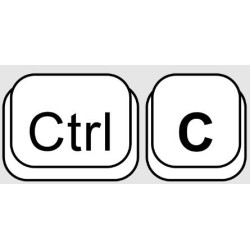 Ctrl-C by Chris Rawlins