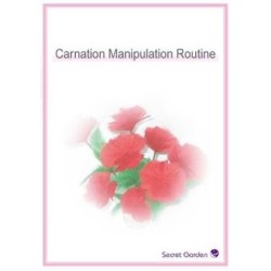 Carnation Manipulation Routine