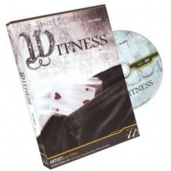 Witness by Lee Asher