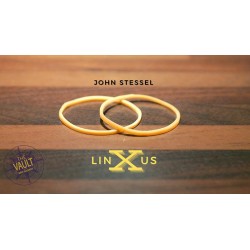 The Vault - Linxus by John Stessel