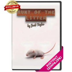 Runt Of The Litter by Jack Tighe