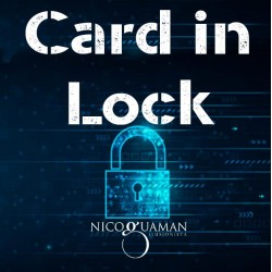 Card in Lock by Nicolas Guga