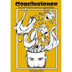 Christian Miro - Conclusiones