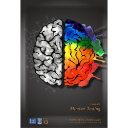 Mindset Testing by Rainer Mees
