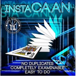 InstaCAAN by Joel Dickinson