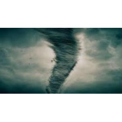 The Whirlwind by Ngoc Tu